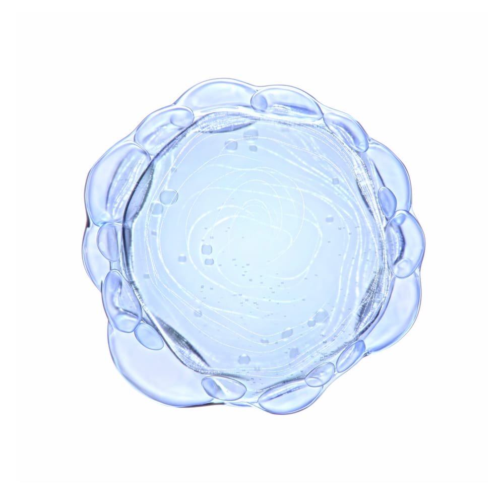 Pure niacinamide ingredient